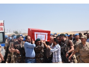 Nusaybin Şehidi Düzenlenen Törenle Memleketi Elazığ’a Uğurlandı