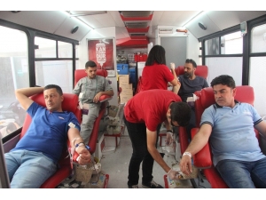 Düzenli Kan Bağışı Kemik İliğinde Yağlanmayı Önlüyor