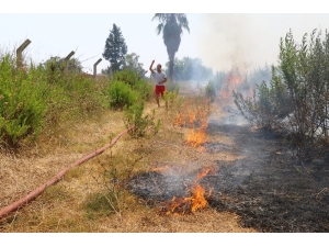 Antalya’da Ot Yangını Korkuttu