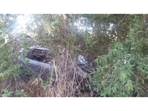 Otomobil Ağaçlık Alana Uçtu: 4 Yaralı