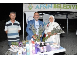 Kahramanmaraş’ta Lavanta Hasat Şenliği