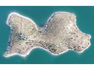 Tek Kelime İle "Harika"