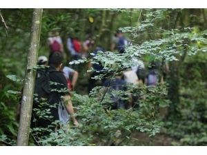 Doğa Severlerin Yeni Rotası, Nüzhetiye Şelalesi