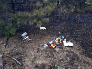 Piknikçiler Ağaçlık Alanı Yaktı