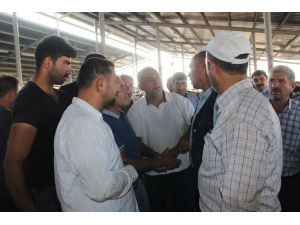 Şuhut Hayvan Borsası’nda Kurban Pazarı Hareketliliği