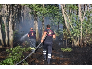 Erzincan Organize Sanayi Bölgesi’nde Çıkan Yangın Korkuttu