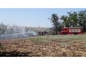 Ağaçlık Alanda Korkutan Yangın