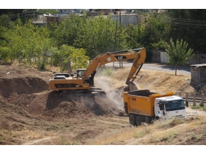 Hdp’li Belediyeden Ağaç Katliamı