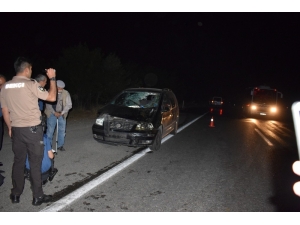 Çiftlikten Kaçan Yarış Atları Şehirler Arası Yolda Trafiği Birbirine Kattı