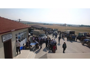 Aslanapa Belediyesi Canlı Hayvan Pazarı Ve Borsası 13 Ağustos’a Kadar Her Gün Açık