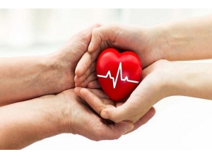 Türkiye Organ Naklinde Yüzde 72’lik Oranla İkinci Sırada