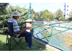 Şehir Merkezinde Olta Keyfi