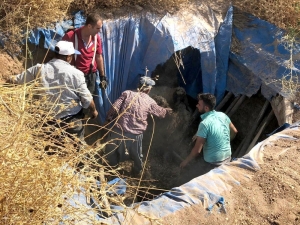 Koyunlar Toplu Halde Fosseptik Çukuruna Düştü