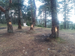Pikniğe Giden Vatandaşlar Gördükleri Manzara İle Şok Oldu