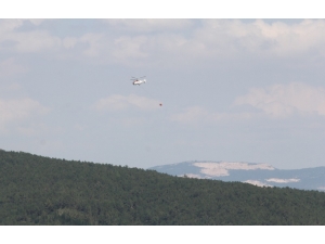 Orman Yangınına Müdahale Sürüyor