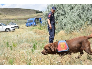 Kayıp Katip Kadavra Ve İz Takip Köpekleriyle Aranıyor