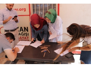 Genç Mimar İçin Kök Hücre Seferberliği