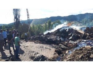 Çorum’daki Yangında Yaralar Sarılmaya Başlandı