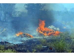 Manisa’da 20 Dönüm Tarım Arazisi Küle Döndü