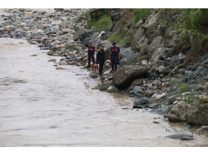 Rize’de Sele Kapılan Hüseyin Çapoğlu’nu Aramaya, Fındıklı’nın Kahramanı ’Kır’ İle Devam Ediliyor