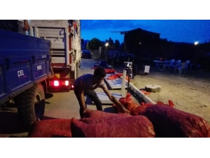 Pazaryeri’nin Tescilli Boncuk Fasulyesi Hasadı Başladı