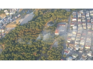 İzmir’in Konak İlçesinde, Henüz Belirlenemeyen Bir Sebepten Dolayı Orman Yangını Çıktı. Yerleşim Yerlerine Yakın Olduğu Belirtilen Yangına 3 Helikopter, 8 Arazöz İle Müdahale Ediliyor.