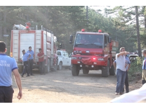 Bursa Valisi Canbolat’tan Orman Yangını Açıklaması