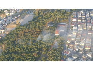 İzmir’de Yerleşim Yerlerine Yakın Alanda Korkutan Orman Yangını