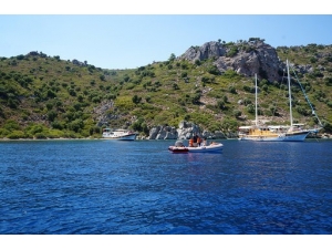 Ada Didik Didik Arandı, Eşek Bulunamadı