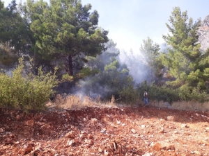 Orman Yangınında 1 Hektar Ormanlık Alan Zarar Gördü