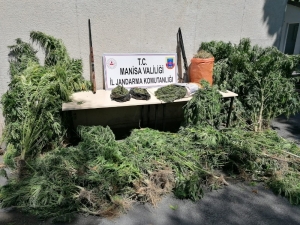 Manisa’da Uyuşturucu Operasyonu: 1 Gözaltı