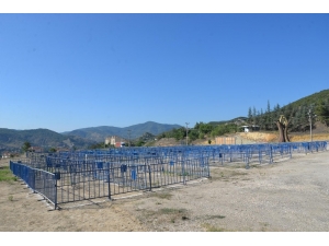 Bilecik Belediyesi Kurban Satış Yerlerini Hazırladı