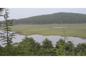 Balık Ölümlerinin Yaşandığı Süleymanlı Yayla Gölü’nün Suyu Temiz Çıktı