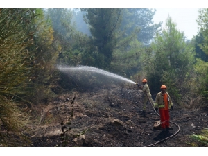 Antalya’da Orman Yangını, 1 Hektar Orman Zarar Gördü
