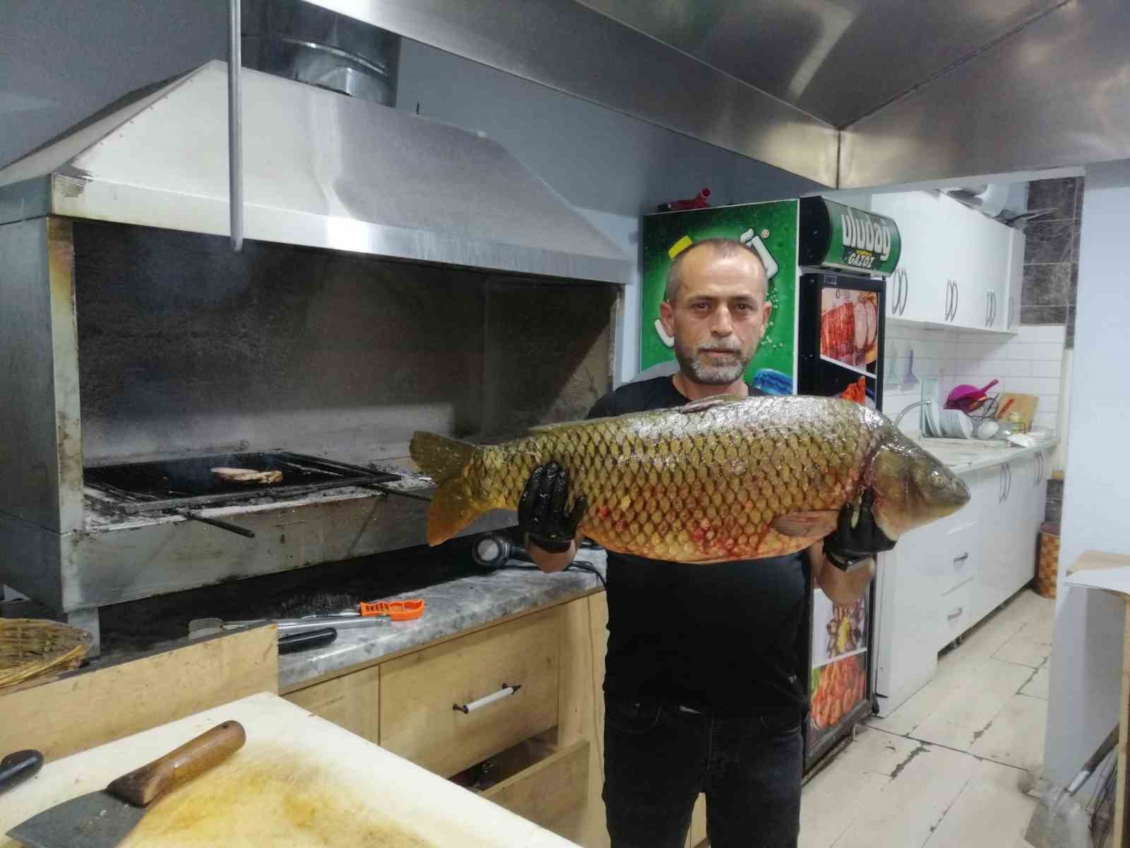 bilecik-te-dev-sazan-baligi-yakalandi