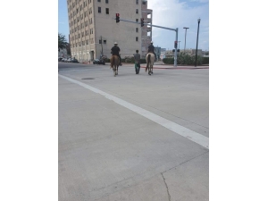 Amerikan Polisinden Irkçı Uygulama