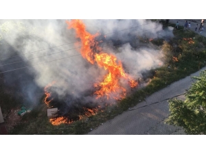 Sokak Arasında Yüzlerce Odun Alev Alev Yandı