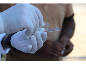 Manisa’da Sıtmayla Mücadele Hız Kesmeden Devam Ediyor