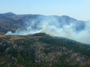 Mersin’de Orman Yangını