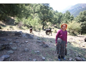 Çaresizliğin Yüzü Olan Sabiha Nine Kurbanlık Satacak