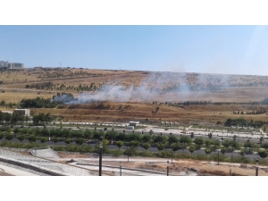 Ağaçlık Alanda Korkutan Yangın