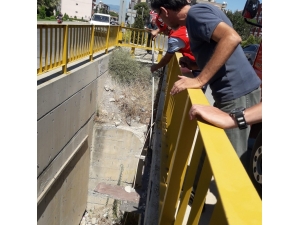 Burhaniye’de Köprü Ayağında Mahsur Kalan Kediyi İtfaiye Kurtardı