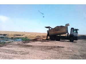 Biyolojik Atığın Hazine Arazisine Boşaltıldığı İddiası