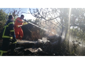 Yabani Otları Yakmak İsterken 5 Dönüm Alanı Küle Döndürdü