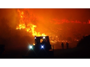 Antalya’da Korkutan Orman Yangını Kontrol Altına Alındı