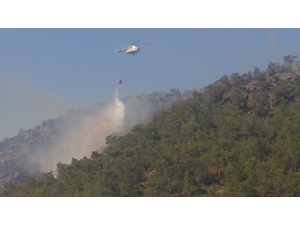 Mersin’de Orman Yangını