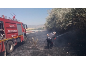 Bingöl’de Bahçe Yangını