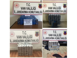 Gevaş’ta 800 Paket Kaçak Sigara Ele Geçirildi