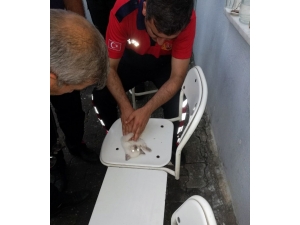 Kalbi Duran Kediye İtfaiye Erlerin Kalp Masajı Ve Suni Teneffüs Çabası