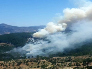 Mersin’de Bir Orman Yangını Daha